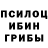Псилоцибиновые грибы Magic Shrooms Sergey Amosov