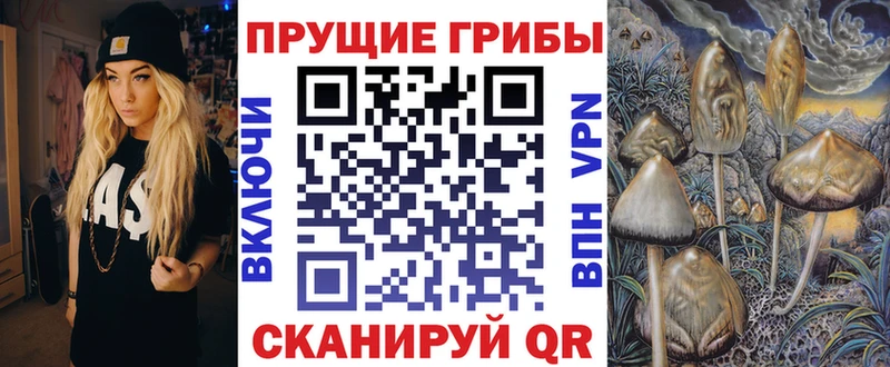 кракен вход  Южно-Сахалинск  Псилоцибиновые грибы Psilocybe 