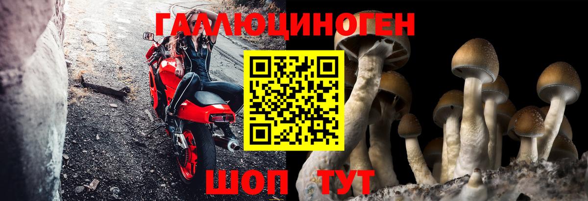 Псилоцибиновые грибы Magic Shrooms  Галлюциногенные грибы MAGIC MUSHROOMS  Вход с VPN  Южно-Сахалинск 