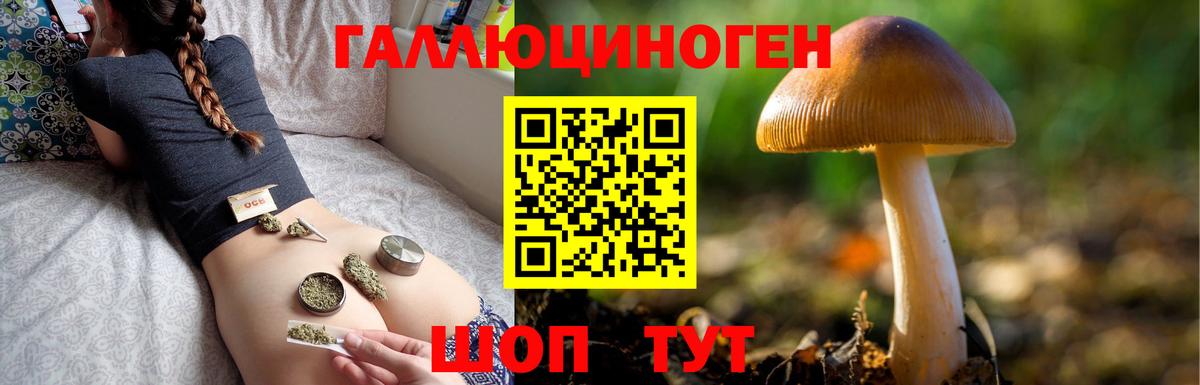 Галлюциногенные грибы GOLDEN TEACHER Южно-Сахалинск